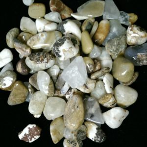 Trina's Rock Shop – Full Service Lapidary Store